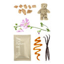 The CarBar - Deluxe Collection  - The Car Parfum