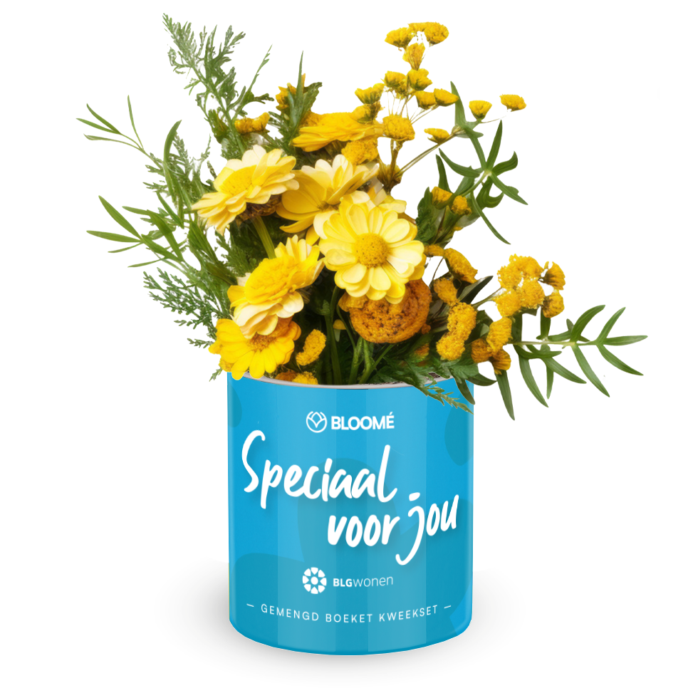 Blomee - Gemengd Boeket - Eigen Ontwerp