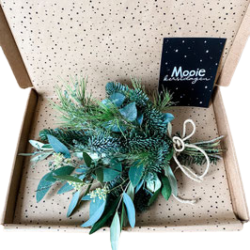 Brievenbuscadeautje - Kersttoef