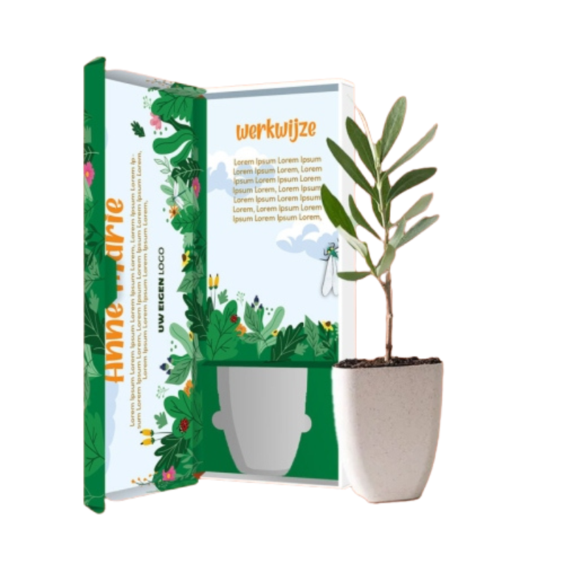 Boom box - Kerstpakket