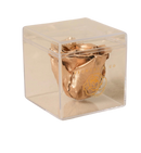 Single Acryl box