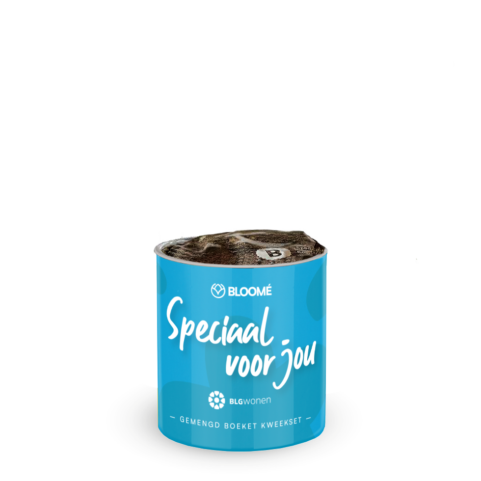 Blomee - Gemengd Boeket - Eigen Ontwerp