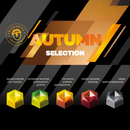 Seasonal Bonbons Friandries