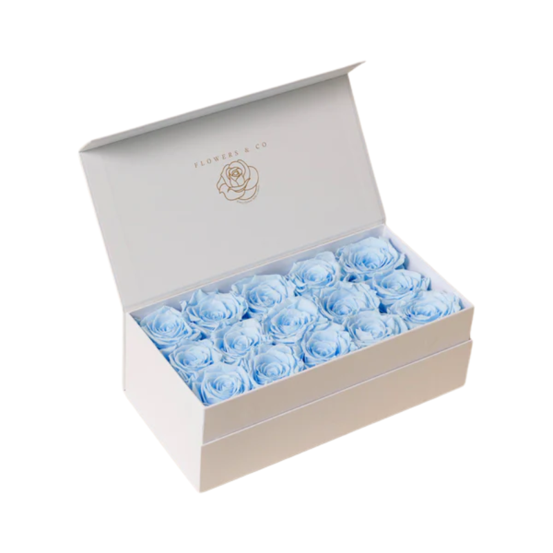 Blue Longlife Rose Box – medium