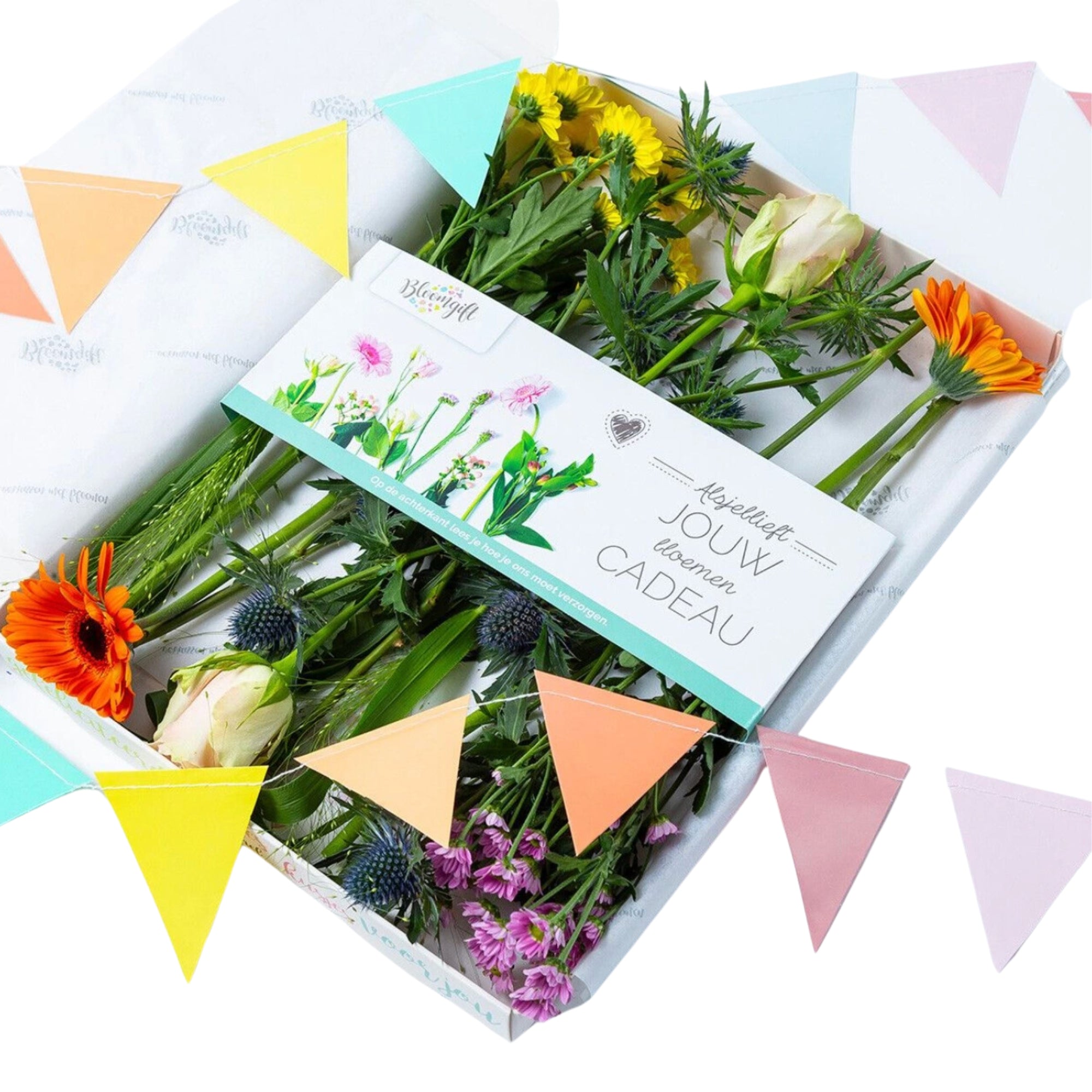 Brievenbusbloemen Party Mix