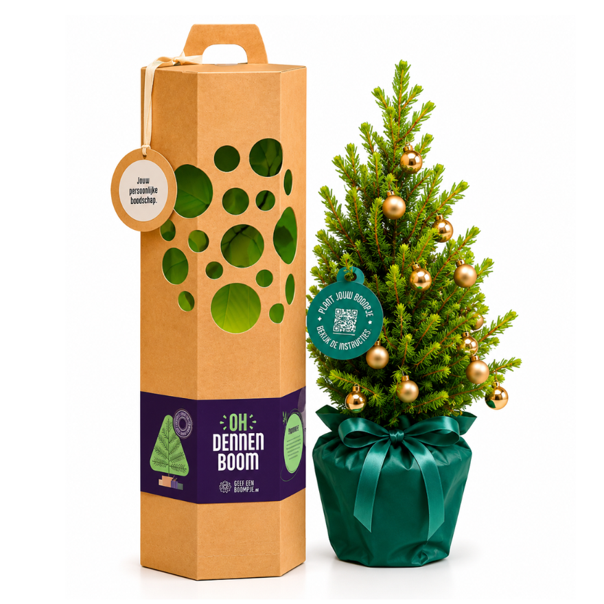 Dennenboom Cadeau - Geef een Boompje