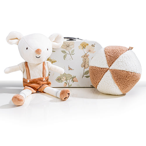 Geboorte Cadeaupakket Dreamy Mouse Jongen