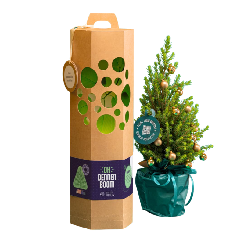 Dennenboom Cadeau - Geef een Boompje