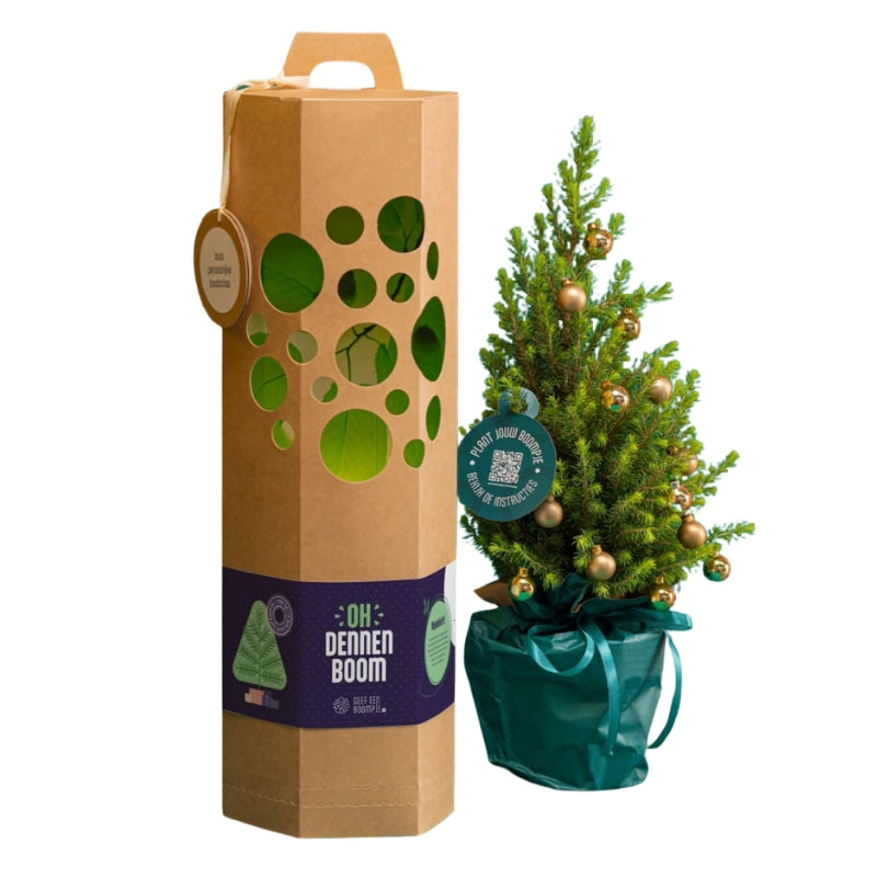 Dennenboom Cadeau - Geef een Boompje