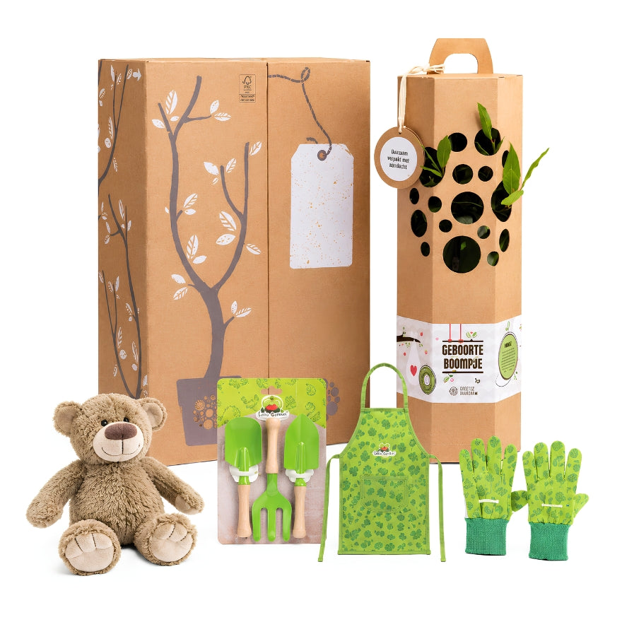 Cadeaupakket Geboorteboompje
