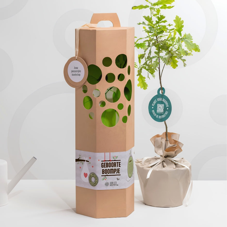 Cadeaupakket Geboorteboompje