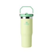 Stanley 890 ml IceFlow beker met flip rietje