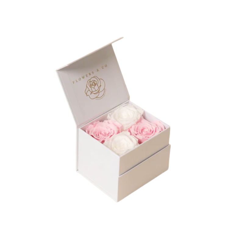 Pink/white mix longlife rose box-small
