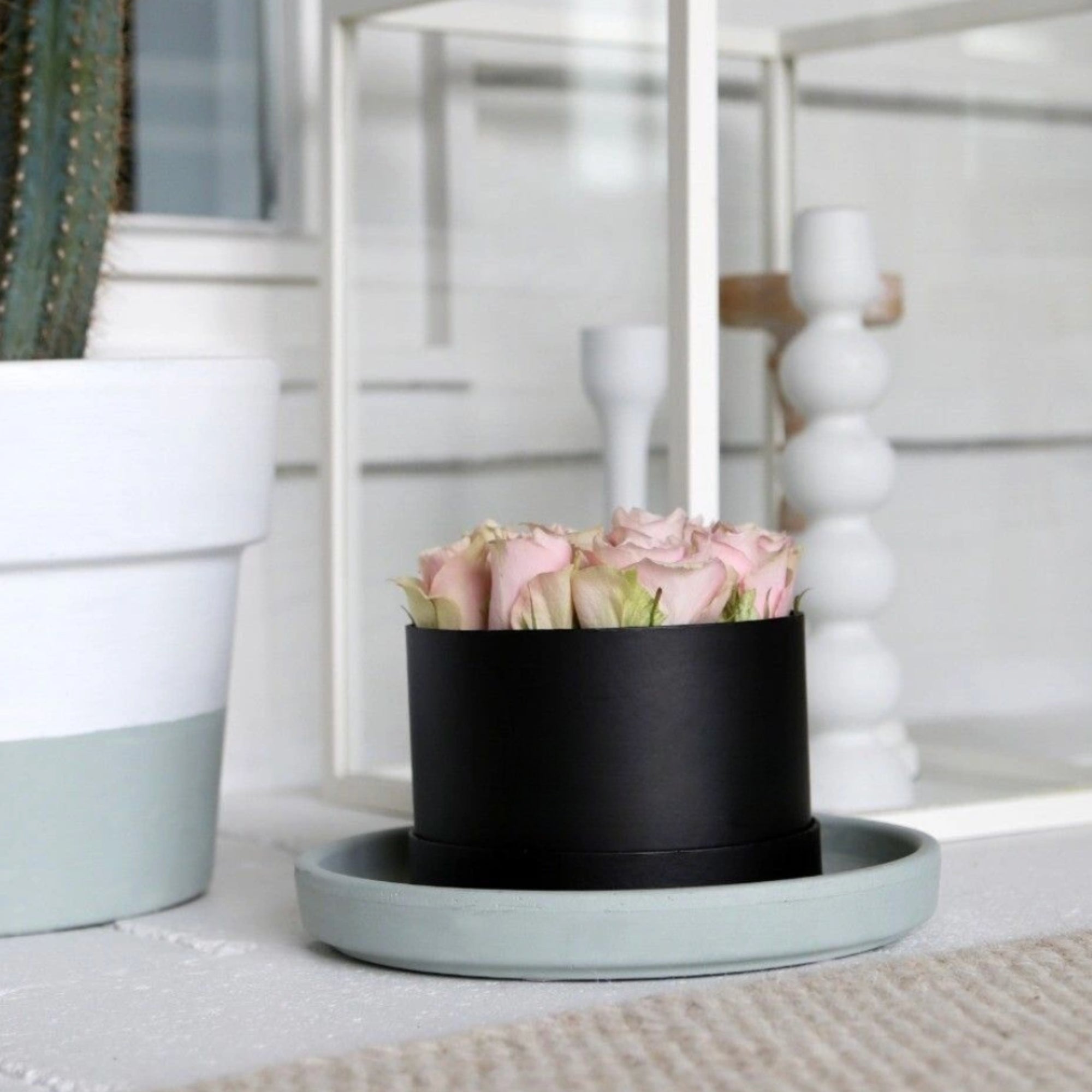 Rozentaart Beterschap