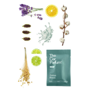 The CarBar - Deluxe Collection  - The Car Parfum