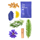 The CarBar - Fresh Collection -  The Car Parfum