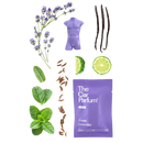 The CarBar - Fresh Collection -  The Car Parfum