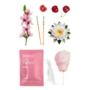 The CarBar - Fresh Collection -  The Car Parfum