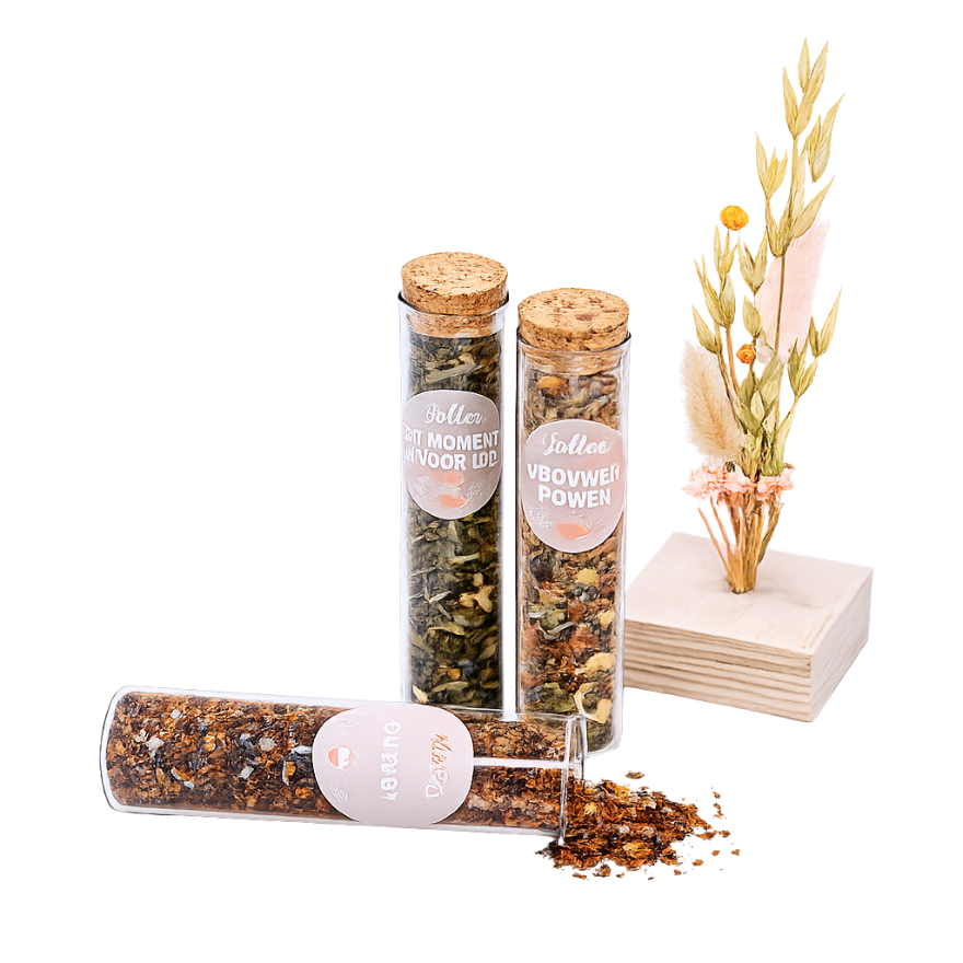 Giftset Theeproeverij ‘Een Fijn Verlof´