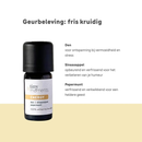 Auto Diffuser Set Energy