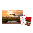 Treebytree Cadeaukaart 3 bomen
