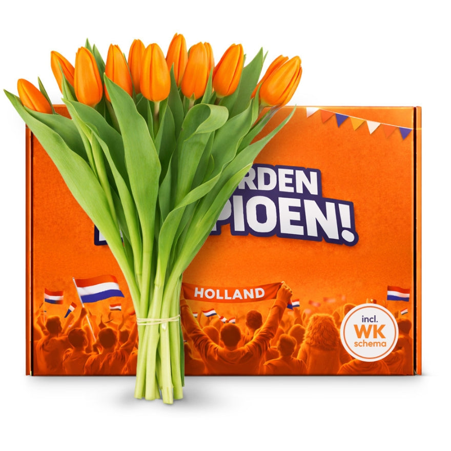 Tulpen van Oranje - Kampioen in Bloei