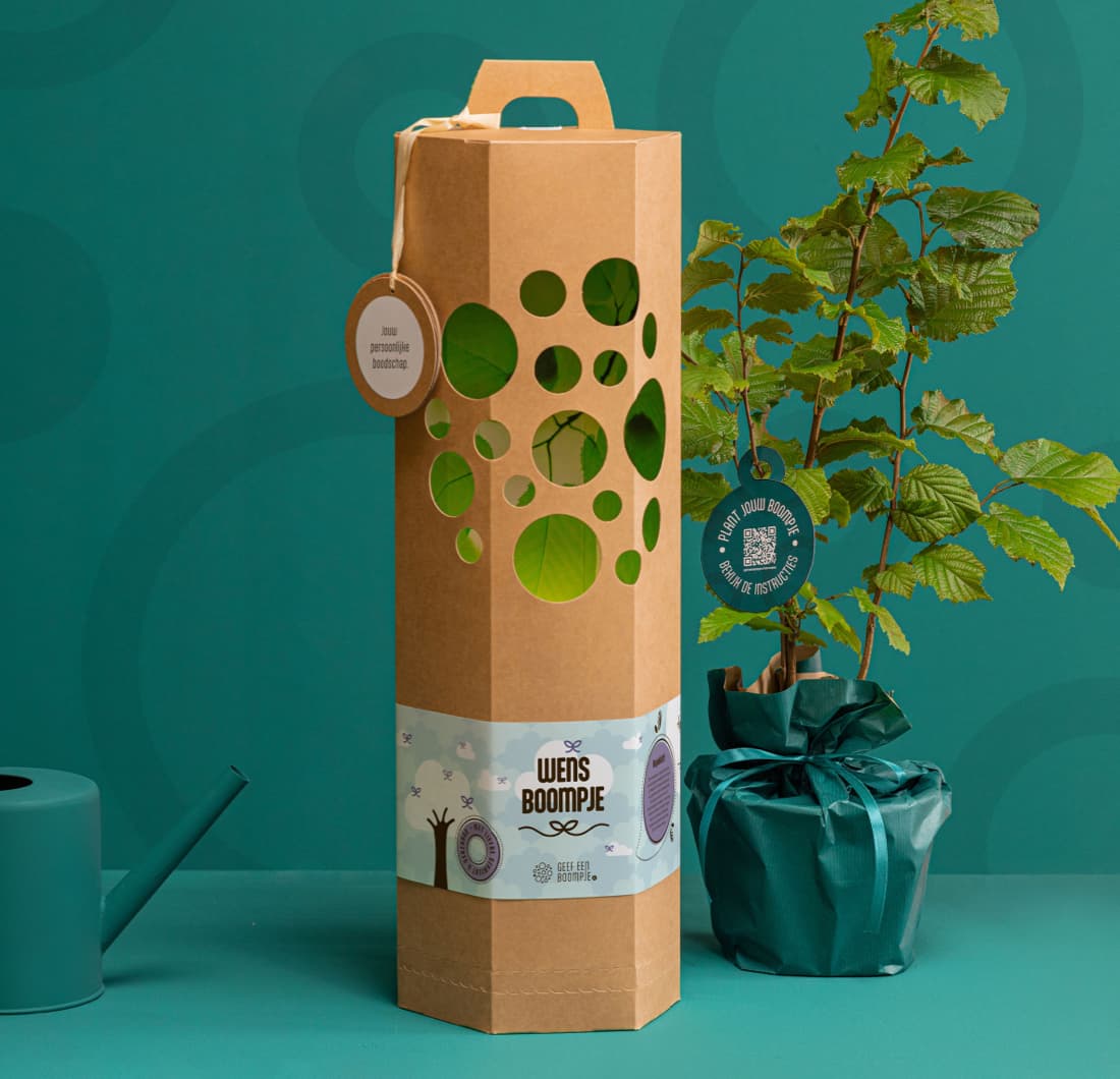 Cadeaupakket Wensboompje