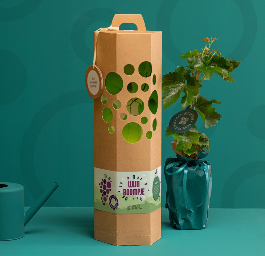 Cadeaupakket Wijnboompje