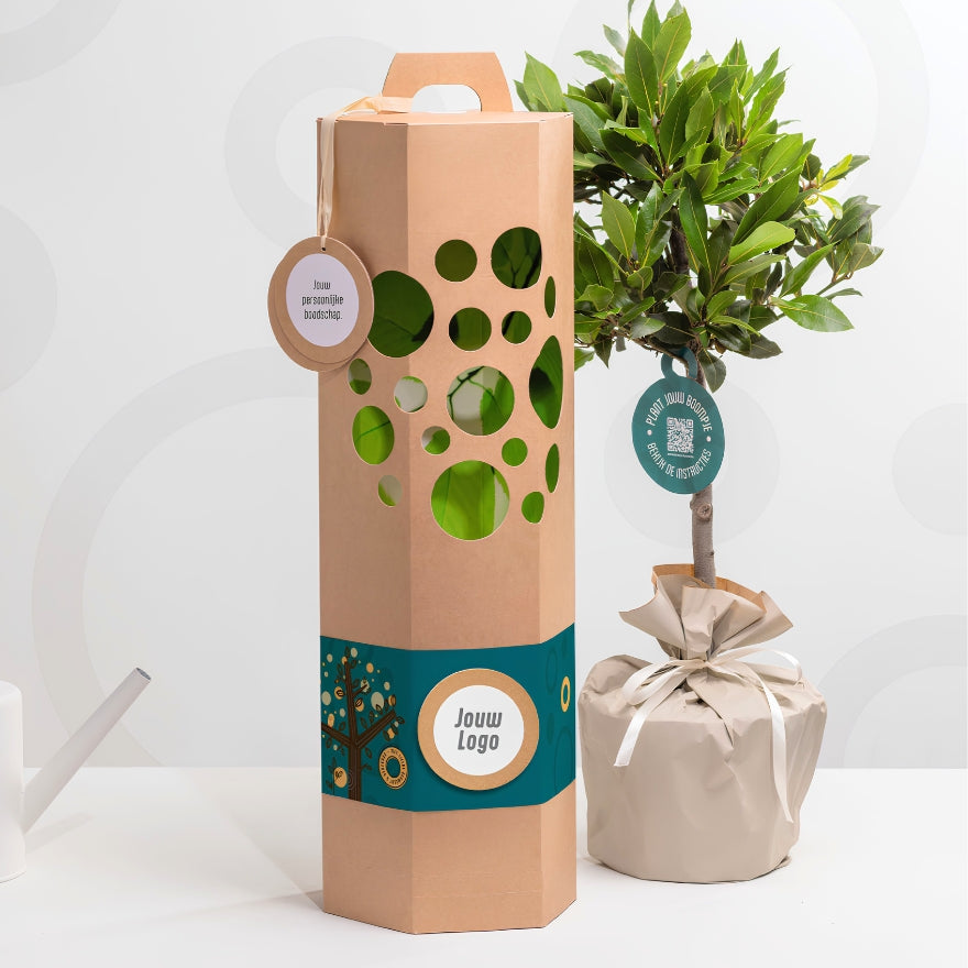 Cadeaupakket Zakelijk boompje