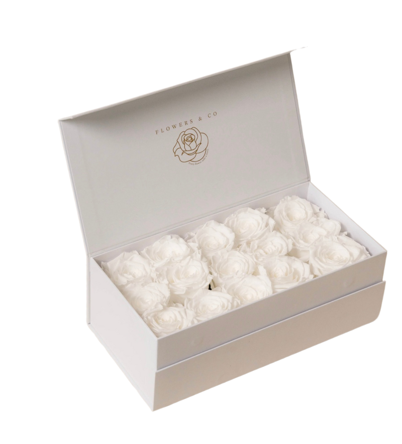 White Longlife Rose Box – medium