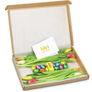 Gemengde Tulpen met Vrolijke Paaseitjes